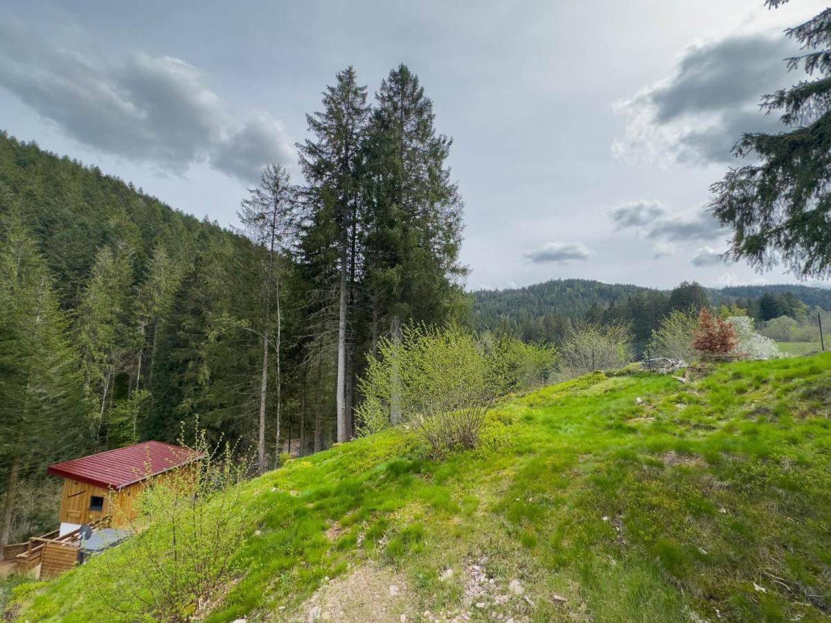 Le Refuge Perche Du Saut De La Bourrique Spa, Terrain Cloture Gérardmer Exteriör bild