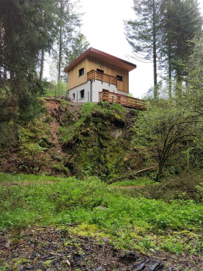 Le Refuge Perche Du Saut De La Bourrique Spa, Terrain Cloture Gérardmer Exteriör bild