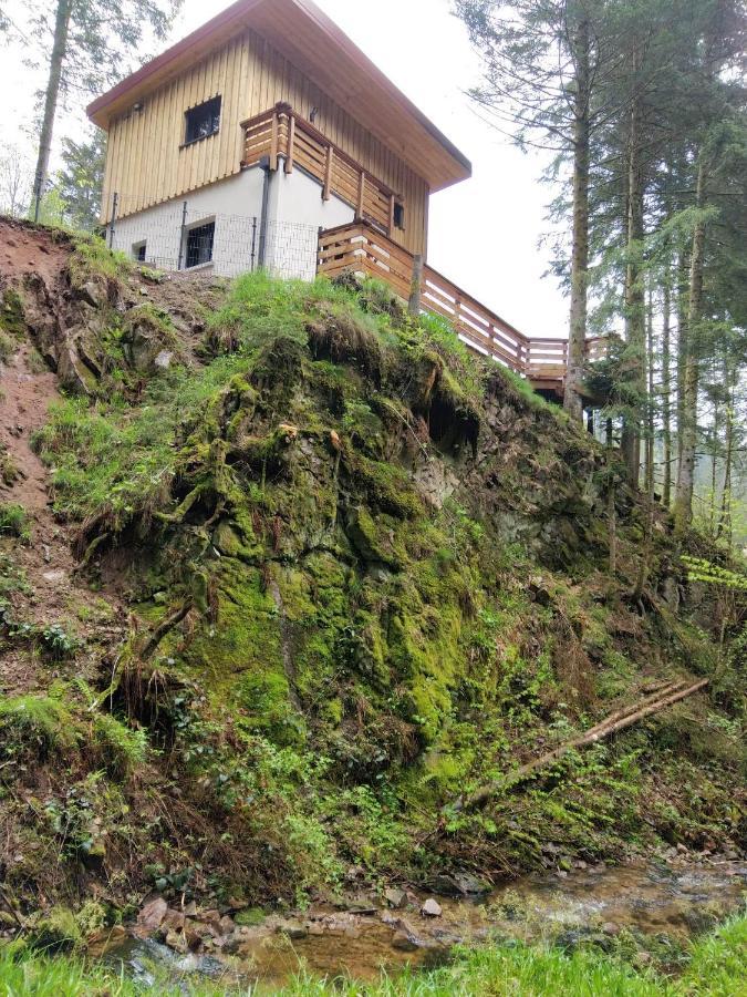 Le Refuge Perche Du Saut De La Bourrique Spa, Terrain Cloture Gérardmer Exteriör bild