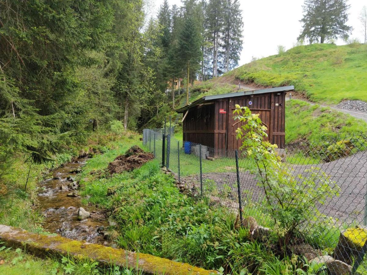 Le Refuge Perche Du Saut De La Bourrique Spa, Terrain Cloture Gérardmer Exteriör bild