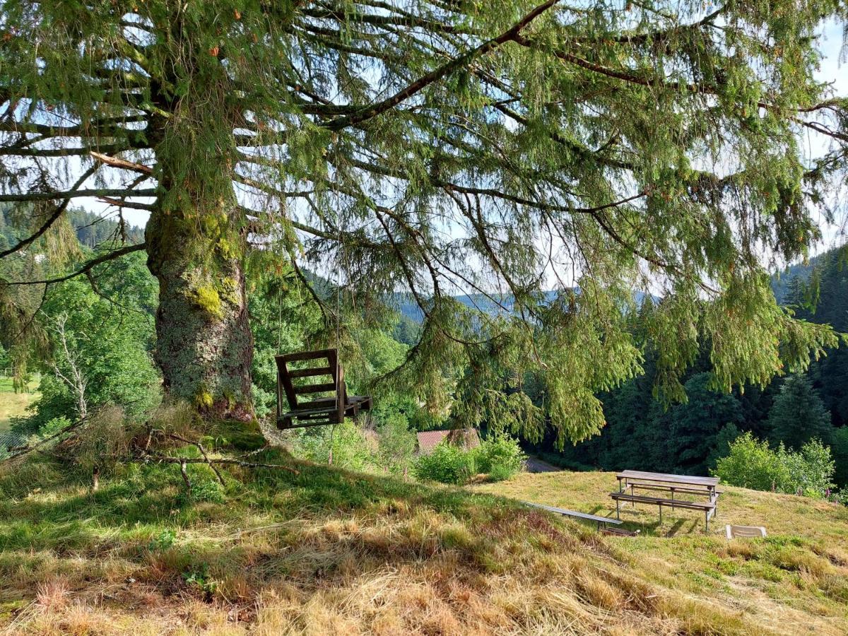 Le Refuge Perche Du Saut De La Bourrique Spa, Terrain Cloture Gérardmer Exteriör bild