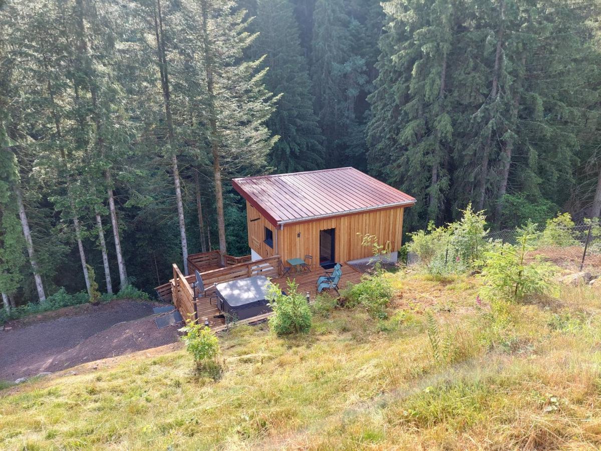Le Refuge Perche Du Saut De La Bourrique Spa, Terrain Cloture Gérardmer Exteriör bild